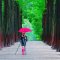 Nami Island and Gangchon Railbike Tour Nami Island tree-lined road and railbike track