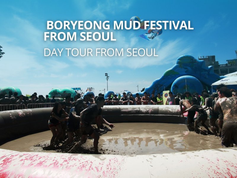 Mud Festival FAQs FAQs for Boryeong Mud Festival Shuttle
