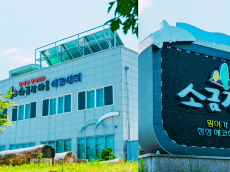 Gangneung 2-Day Immersive K-Drama Journey: “Goblin” Filming Locations & Cultural Experiences Travel Korea: Visit Gangneung with the most iconic filming spots of the K-Drama "Goblin"