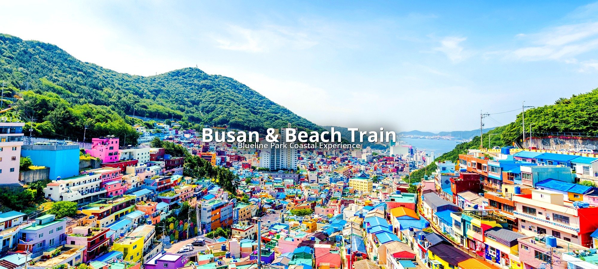 What's included in your tour Tour services and package contents