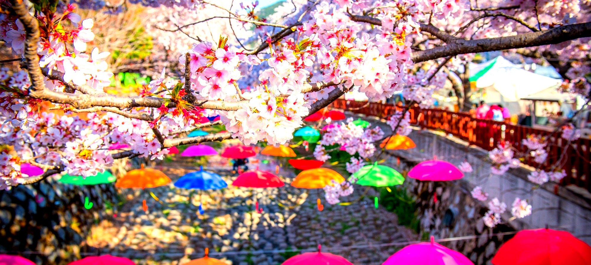 Quick facts for Nami Island shuttle service Nami Island shuttle logistics and practical details