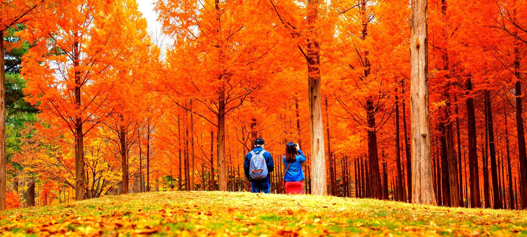 Important information for booking Alpaca World + Nami Island One Day Tour Travelers preparing for tour with comfortable clothing and backpacks