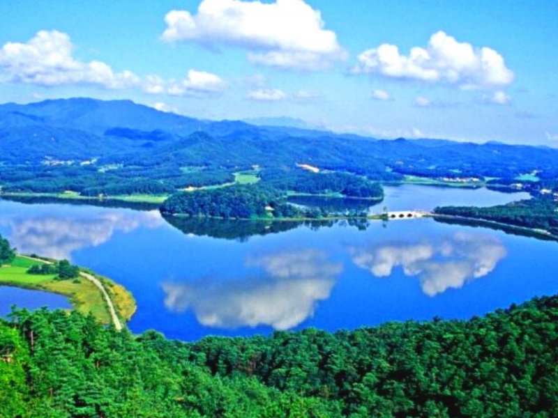 Goseong Lavender Tour: Hwajinpo Lake Goseong Lavender Tour