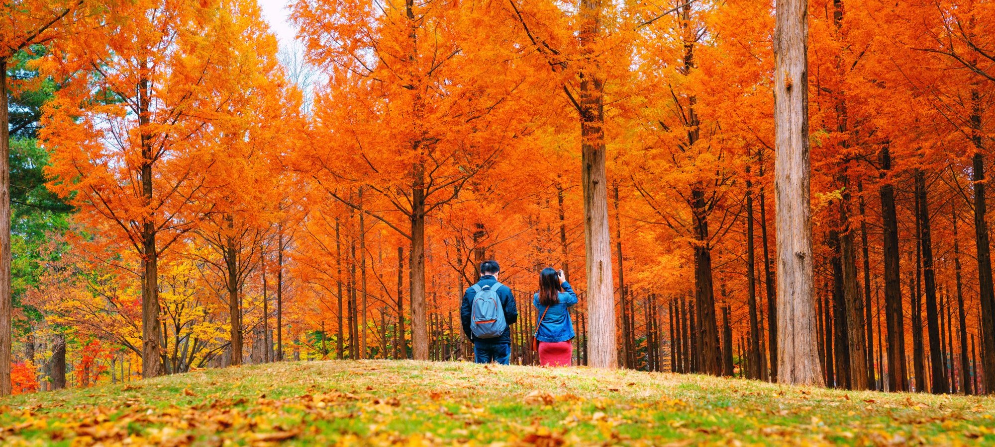 Highlights of Nami Island + Petite France & Italian Village + Gangchon Railbike + The Garden of Morning Calm One Day Tour Tour group enjoying scenic views at a major attraction