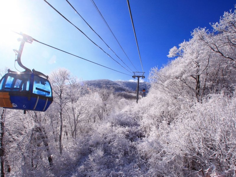 Yongpyong Ski Resort Yongpyong Resort - Snow Fun Day Trip from Seoul