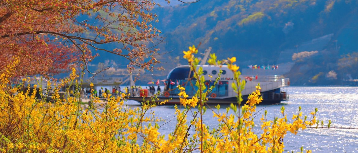Nami Island + Petite France & Italian Village + Gangchon Railbike + The Garden of Morning Calm One Day Tour - Guided Day Tour from Seoul Scenic tour destination landscape with travelers exploring Korea's famous landmarks