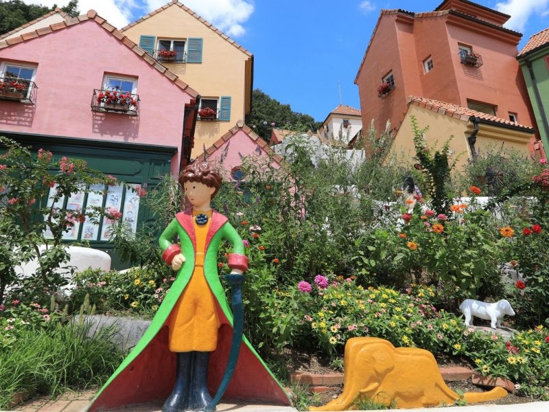Cultural & Scenic Highlights in One Tour Colorful buildings at Petite France and lush garden at Morning Calm