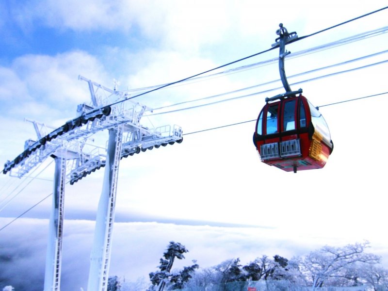 Yongpyong Resort - Snow Fun Day Trip from Seoul