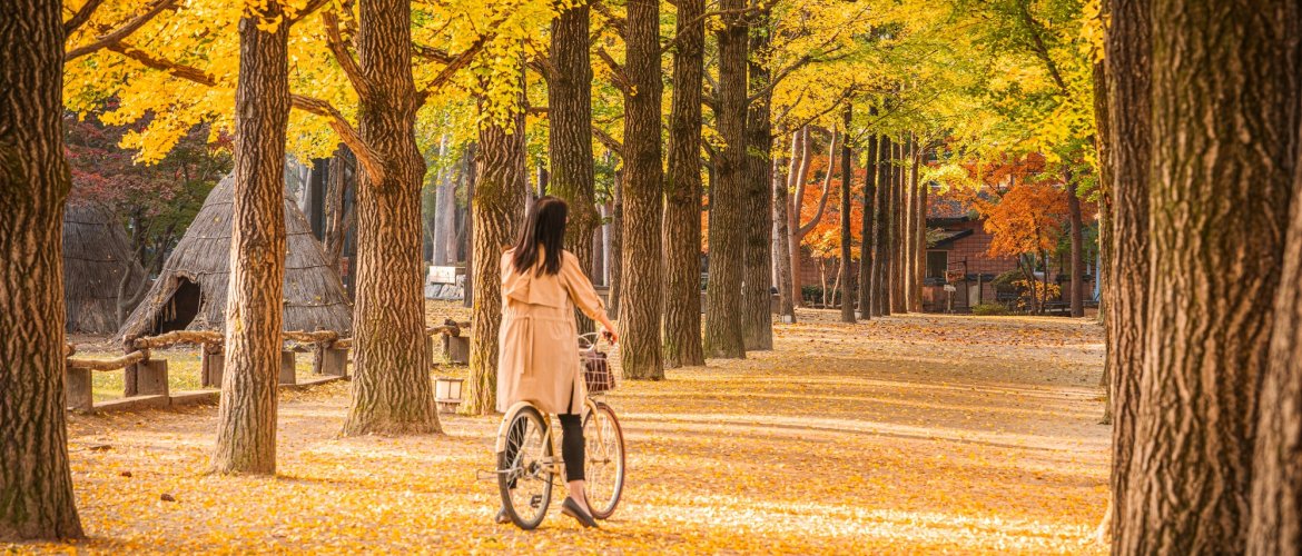 Nami Island + The Garden of Morning Calm One Day Tour - Guided Day Tour from Seoul Scenic tour destination landscape with travelers exploring Korea's famous landmarks