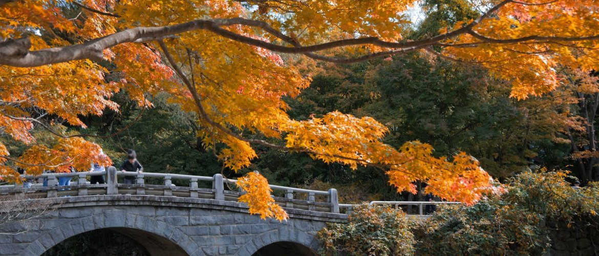 Gyeongju Express Tour highlights and cultural landmarks Detailed views of Gyeongju attractions and scenic locations