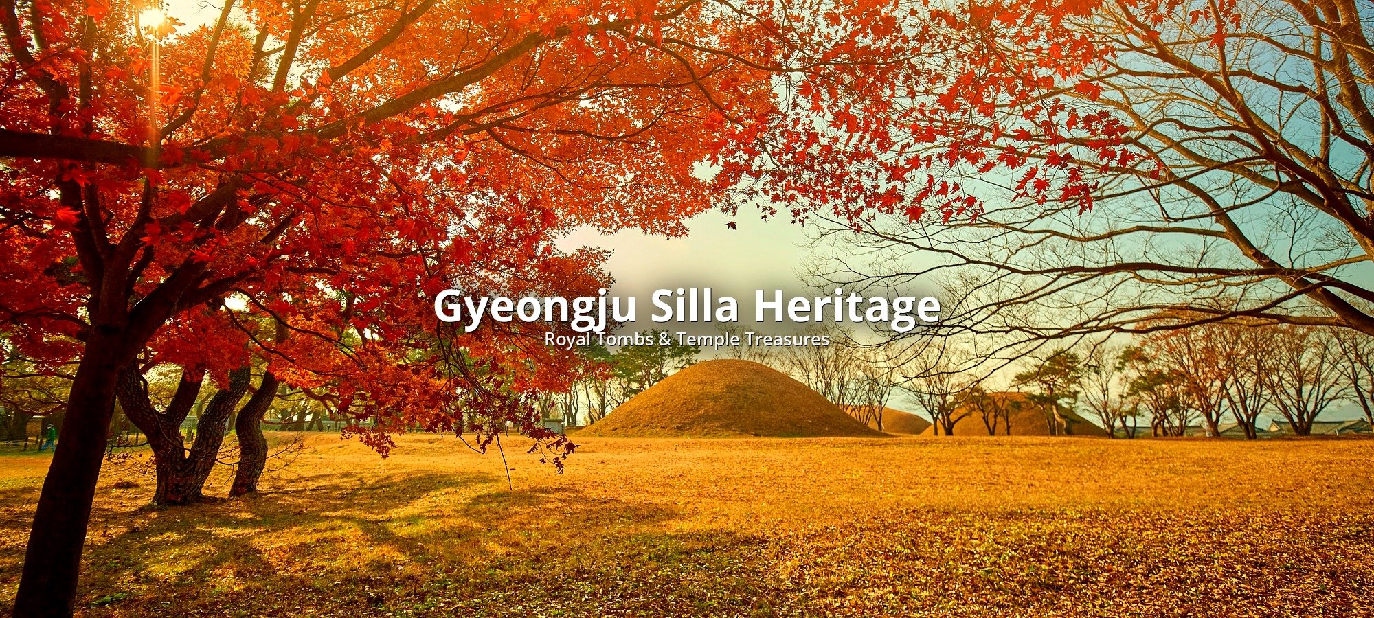 What's included in your tour Tour services and package contents