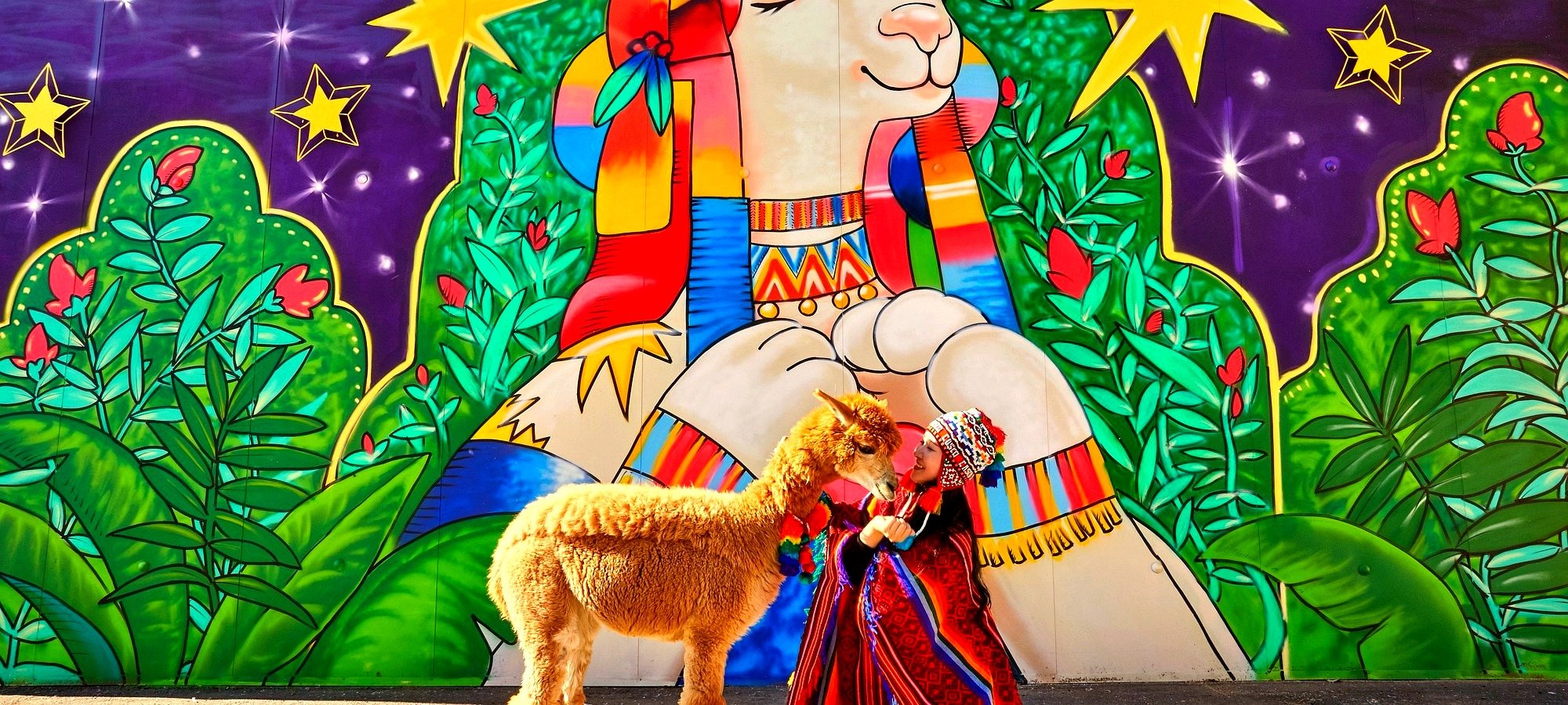 Detailed itinerary map for Alpaca World + Nami Island + The Garden of Morning Calm One Day Tour Map showing the route of the tour connecting Seoul departure points to Gapyeong attractions