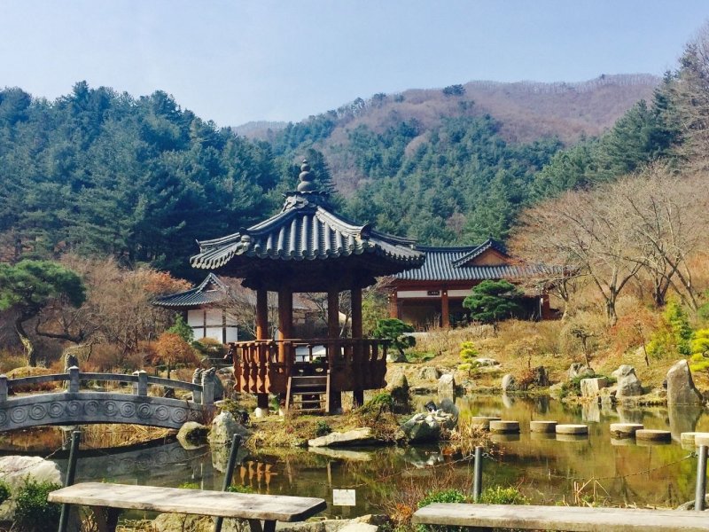 Why Book This Tour Collage of family cycling, garden flowers, and Nami Island