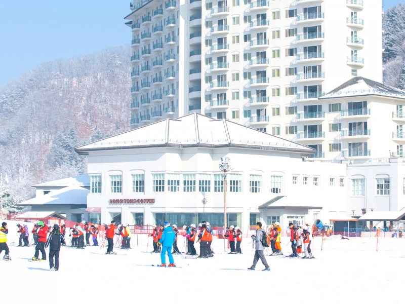 Beginner Zone Safety at Elysian First-timers practicing safely with moving walk and instructors