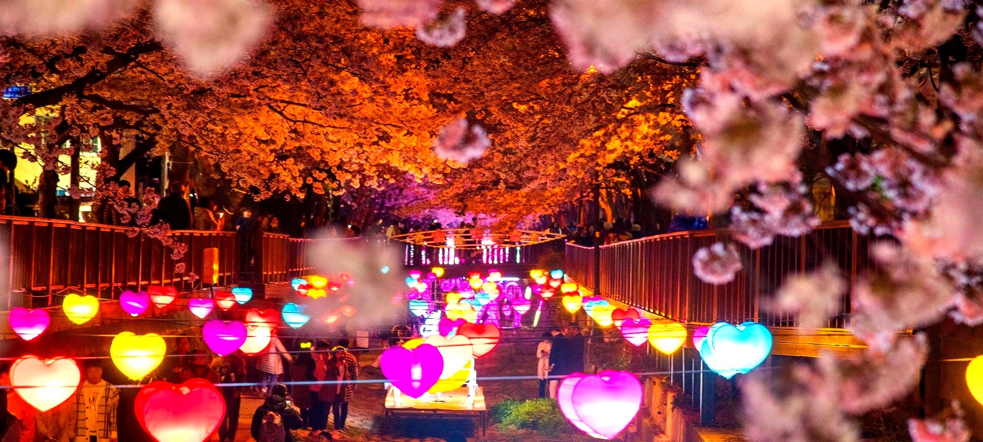 Gwangjang Market food tour itinerary Gwangjang Market map and food stalls layout