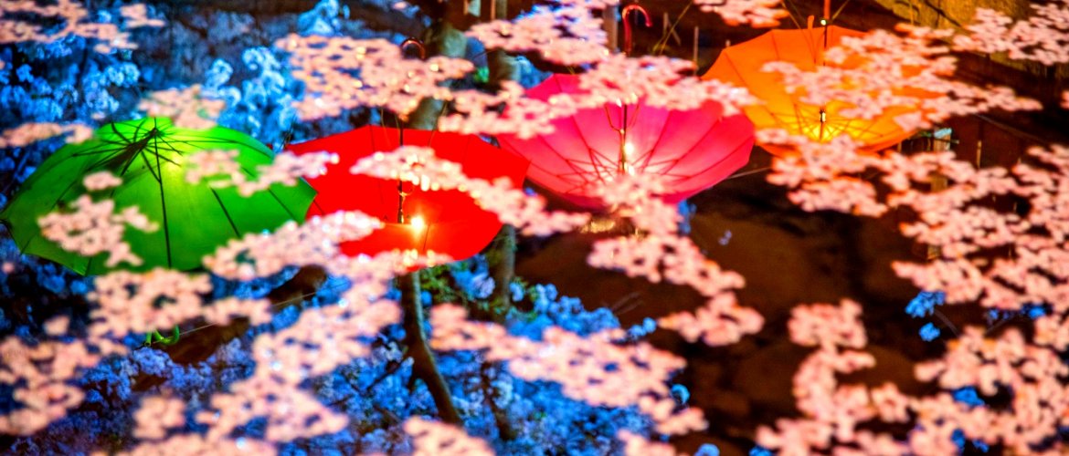 Services included in Gwangjang food tour Gwangjang Market food tour guide and food stalls