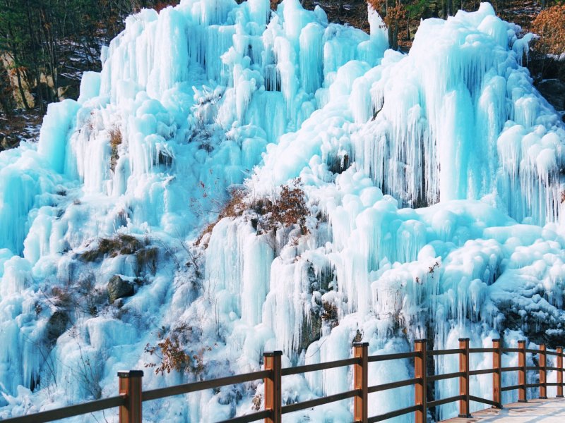 Book Your Elysian Ski Day Skier carving gentle turns under blue winter skies at Elysian