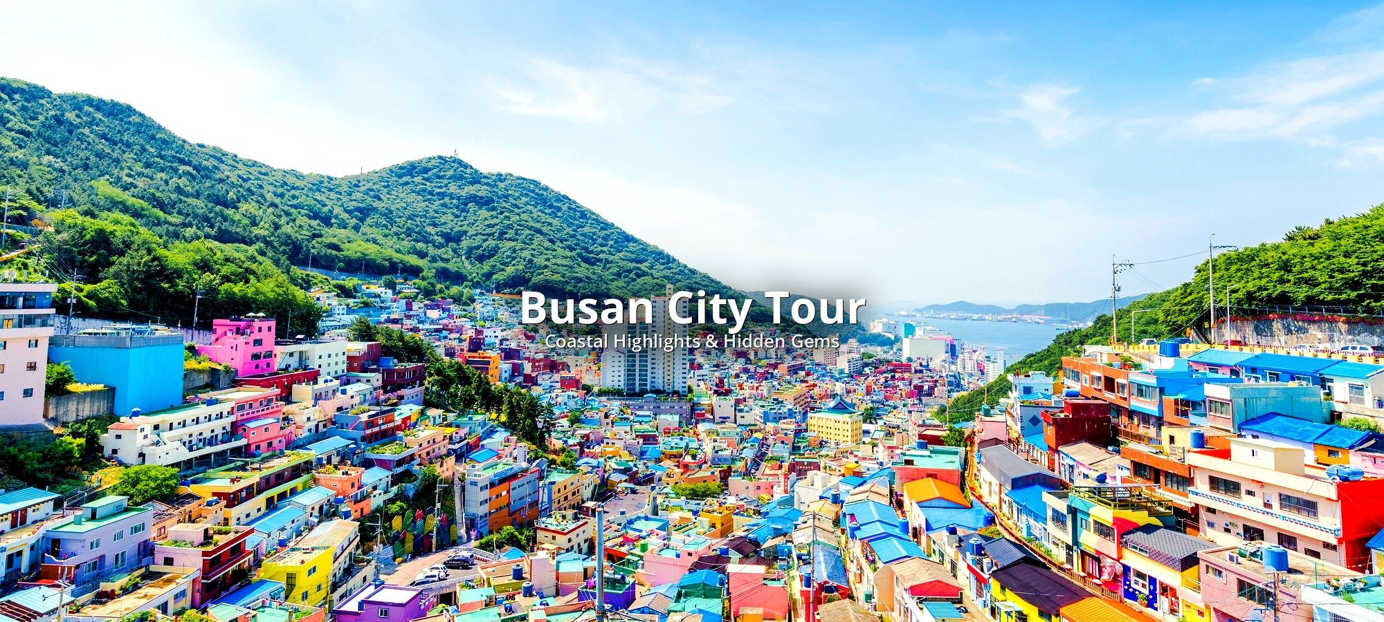 What's included in your tour Tour services and package contents