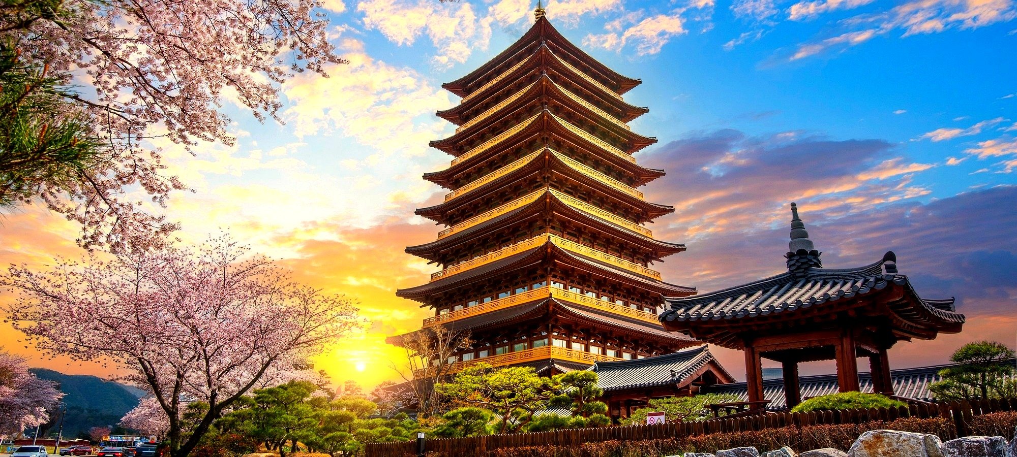 Important information Gyeongju cherry blossom tour booking Travelers walking beneath cherry blossoms at Gyeongju heritage site spring location