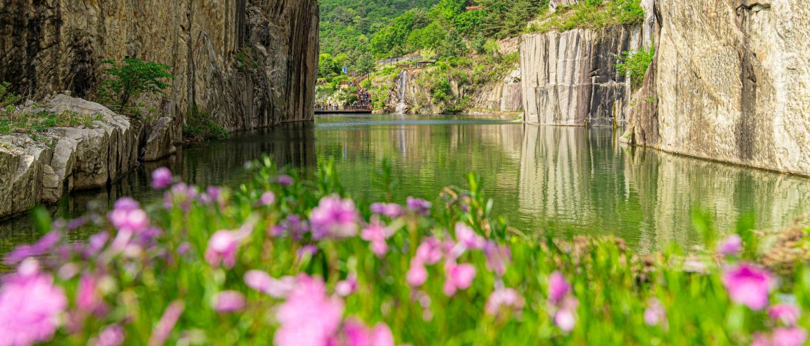 Important information for Pocheon tour Visitors enjoying art, gardens, and apple picking experiences