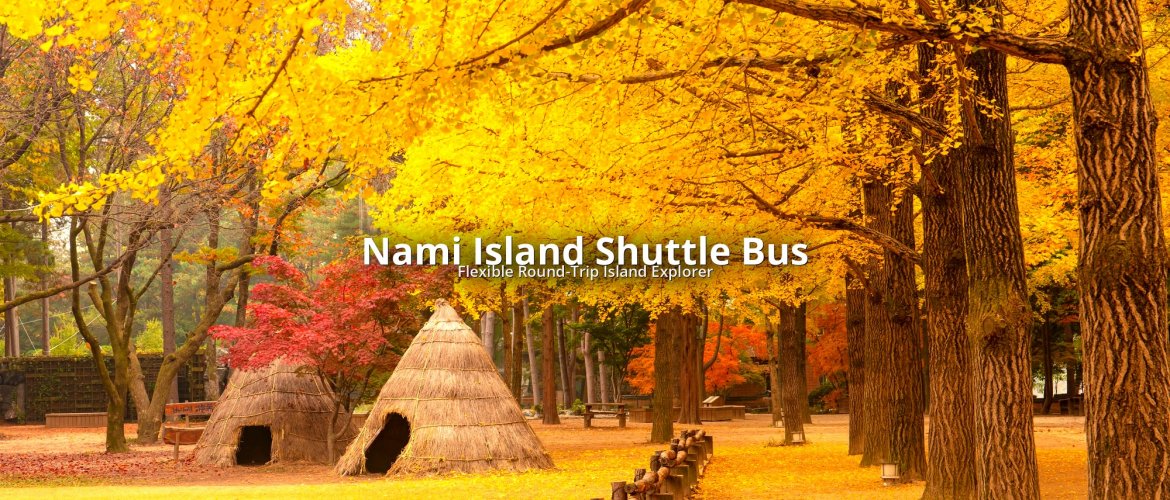 Nami Island shuttle bus round-trip transfer from Seoul Nami Island ferry entrance with shuttle bus waiting at parking area