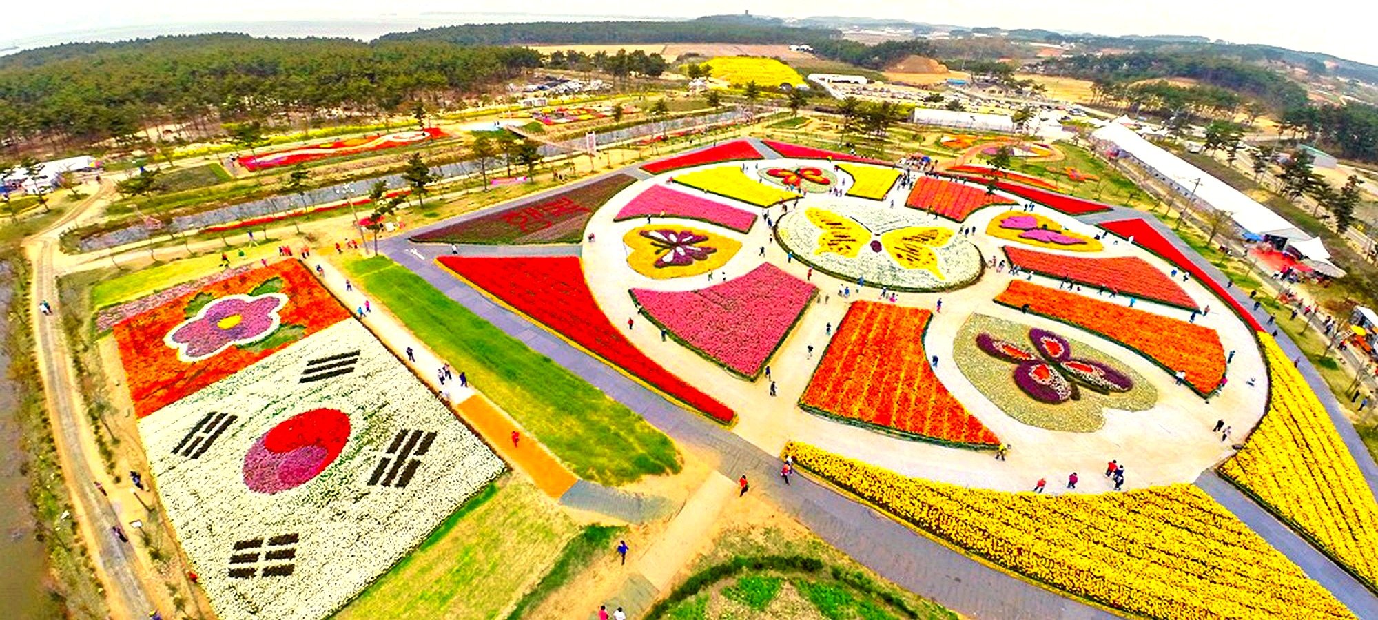 Important information Taean Tulip Festival strawberry picking tour booking Travelers with comfortable walking shoes and hats preparing for Taean spring festival tour