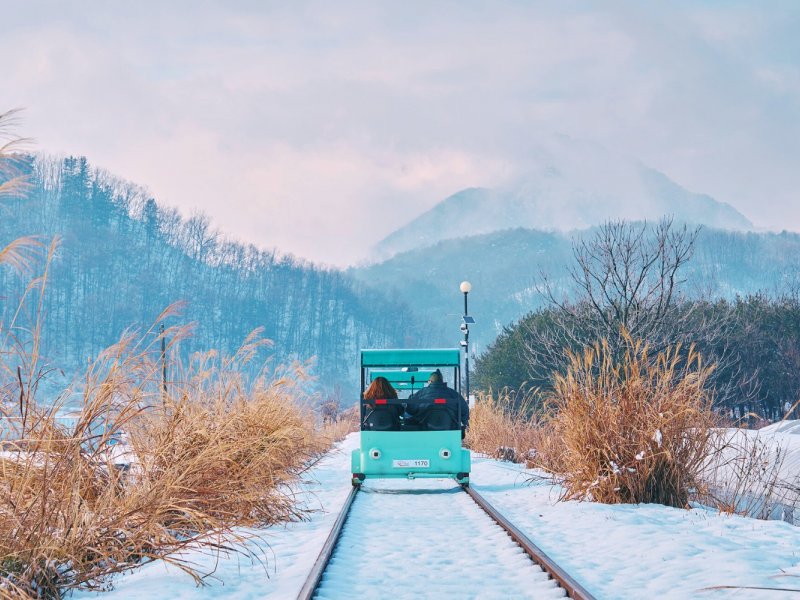 Gangchon Railbike Notes Railbike track through spring blossoms