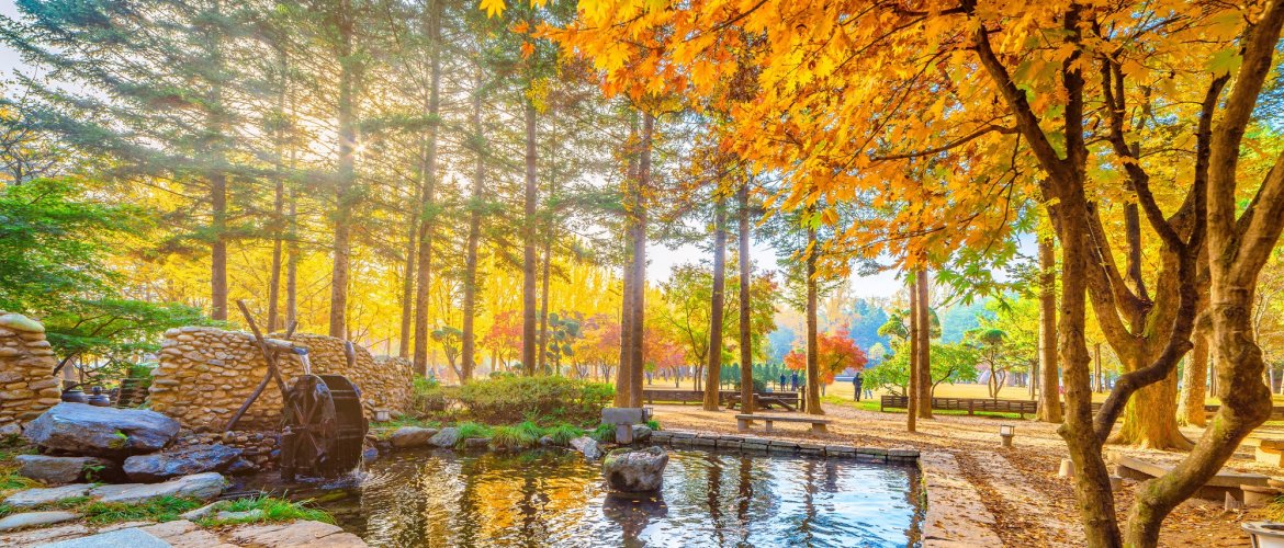 Nami + Gangchon Railbike + The Garden of Morning Calm One Day Tour - Guided Day Tour from Seoul Scenic tour destination landscape with travelers exploring Korea's famous landmarks