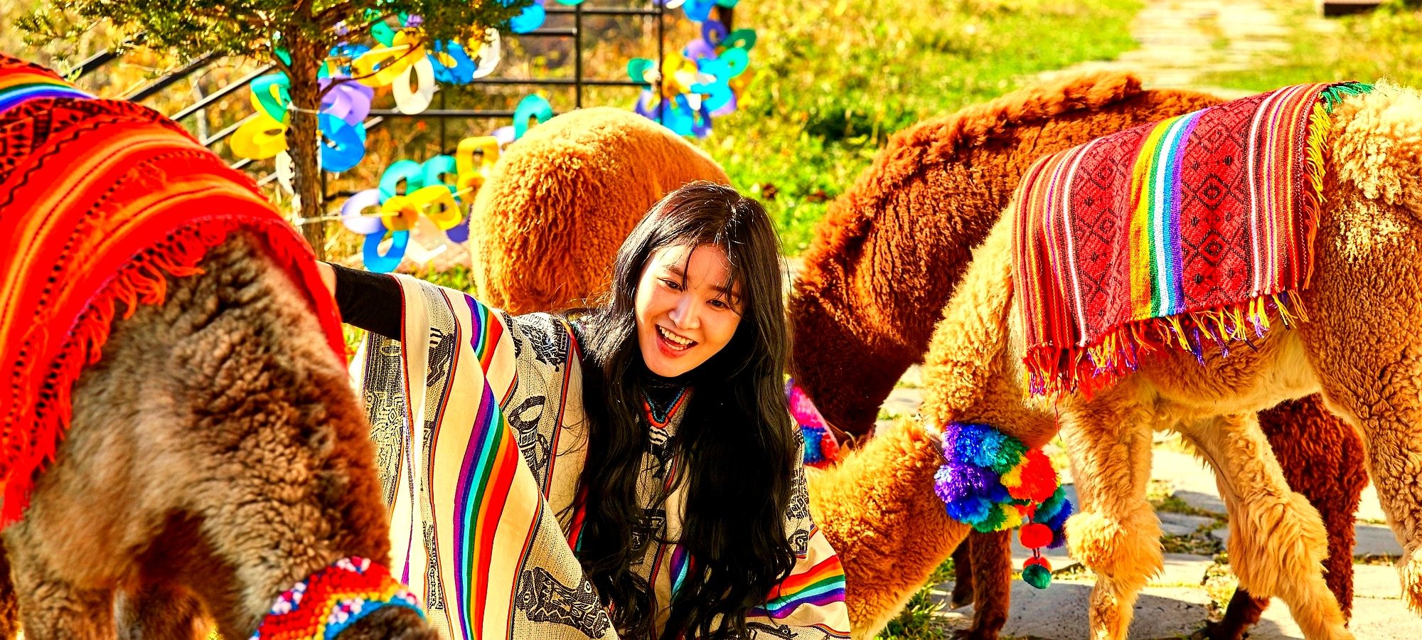Important information for booking Alpaca World + Nami Island + Gangchon Railbike One Day Tour Travelers preparing for tour with comfortable clothing and backpacks