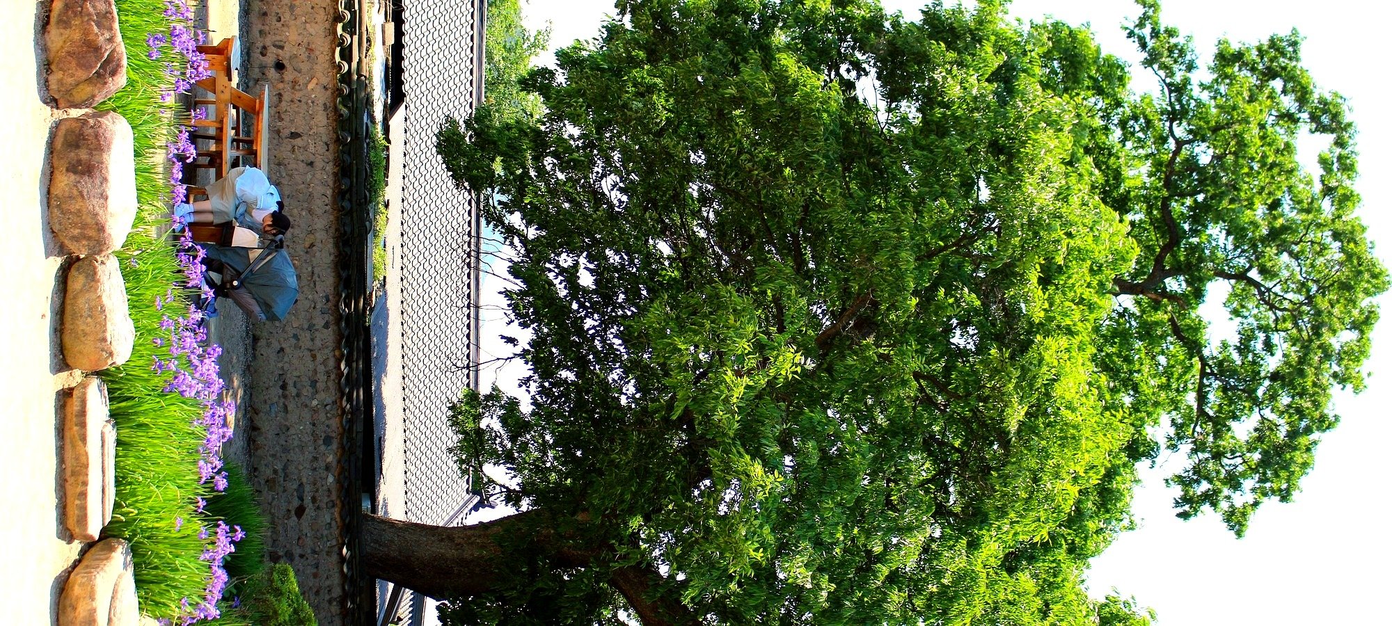 Complete day tour schedule and stops Detailed map and route of the tour