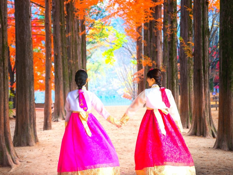 Gapyeong Tour FAQs FAQs about the Nami Island day tour