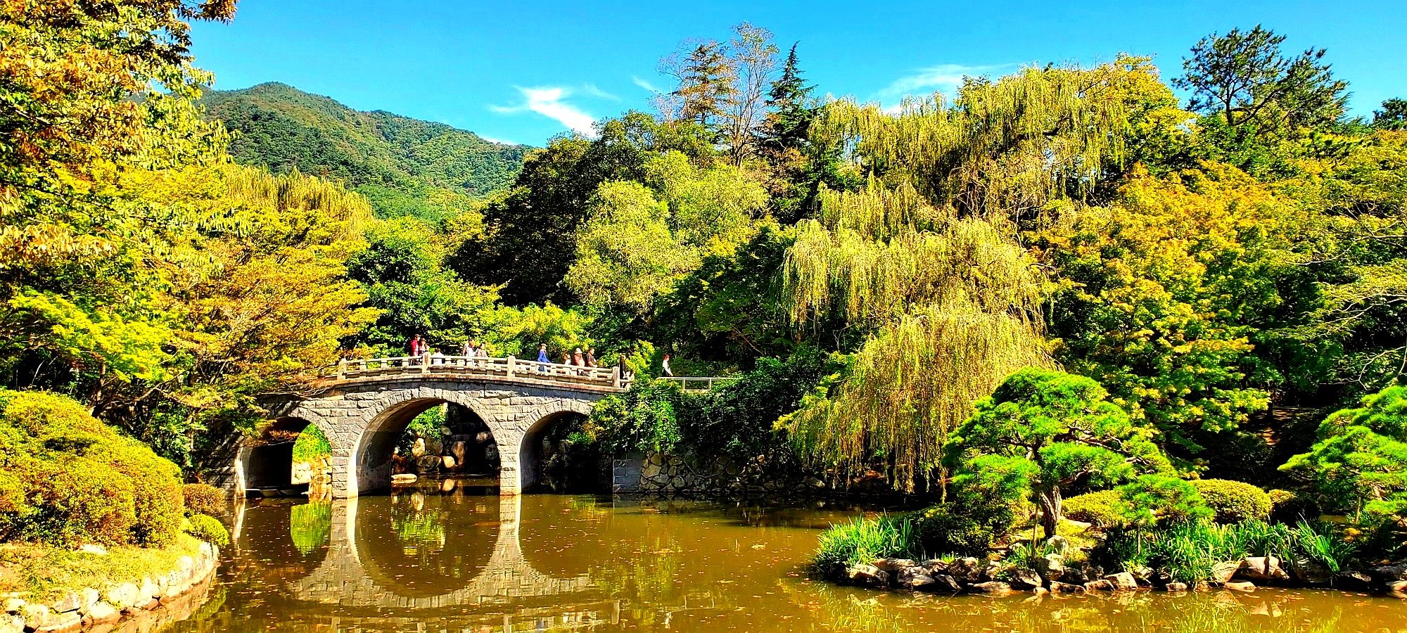 Complete itinerary Gyeongju Cherry Blossom heritage tour from Busan Map showing Busan to Gyeongju cherry blossom heritage sites tour route