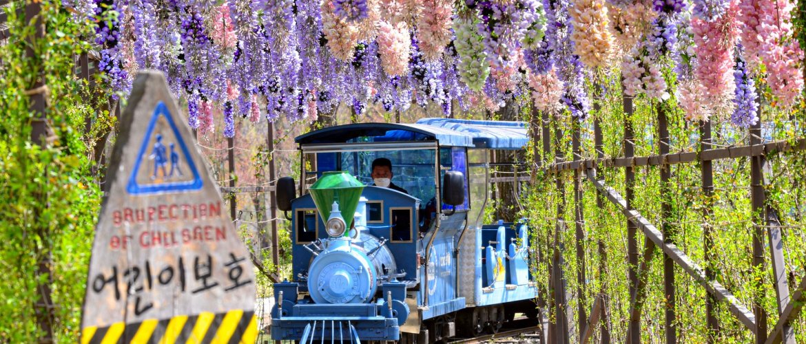 Important information for booking Nami Island + The Garden of Morning Calm + Petite France & Italian Village Travelers preparing for tour with comfortable clothing and backpacks