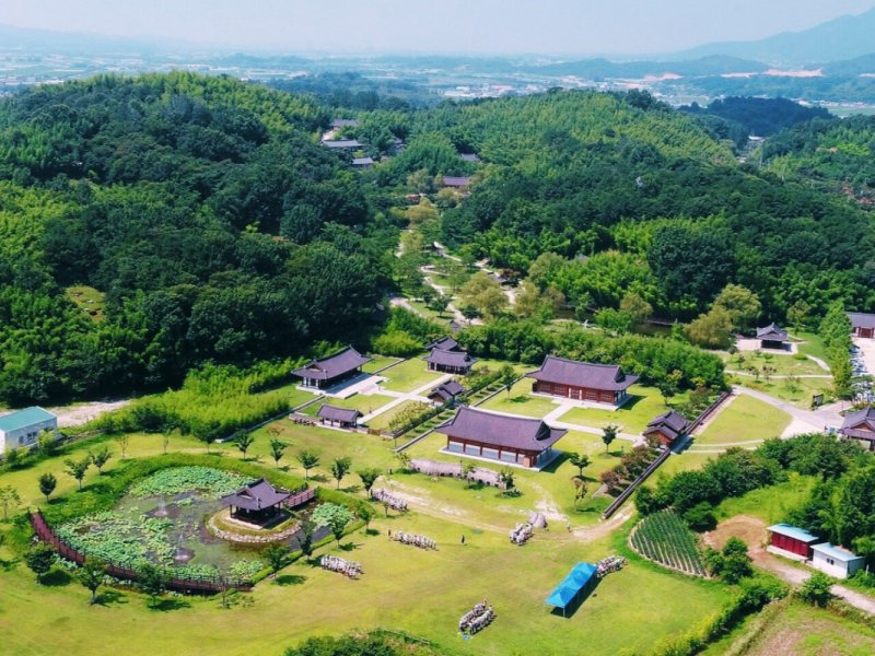 Serene Damyang Getaway: 2D1N Tour with Bamboo Forest & Cultural Delights from Seoul Travel Korea: Visit Damyang on a 2 Day Bamboo Forest & Cultural Delights Tour