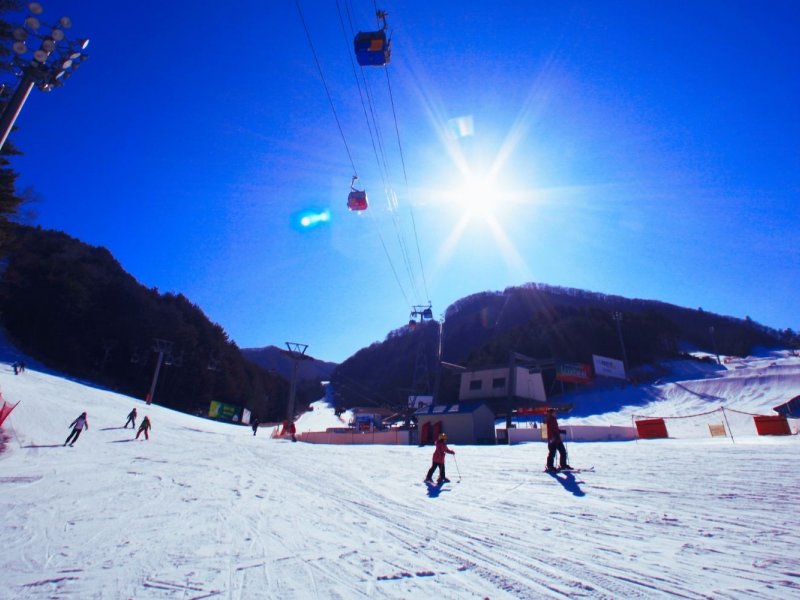 Yongpyong Ski Resort Yongpyong Resort - Ski Tour Day Trip from Seoul