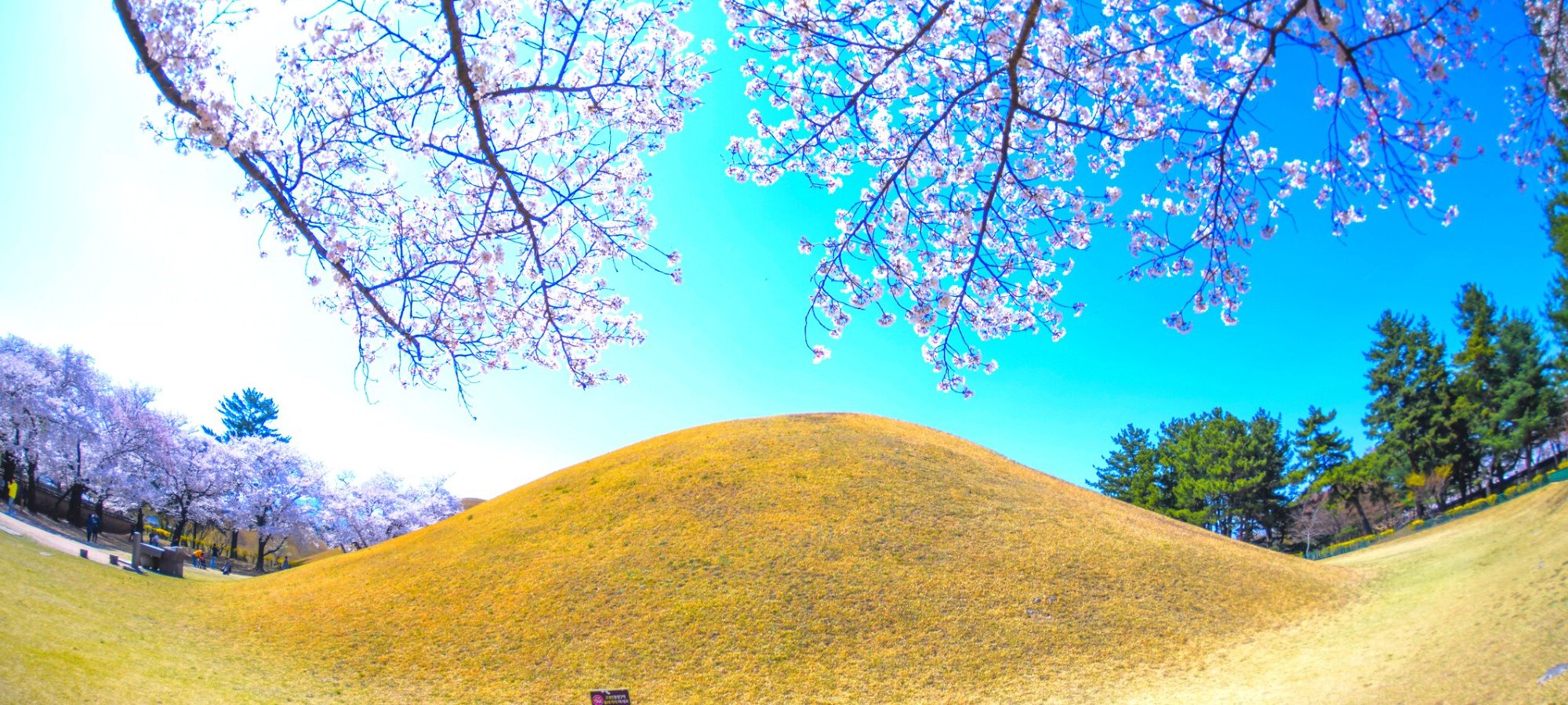 Important information for Gyeongju tour booking Travelers with comfortable shoes standing at scenic Donggung & Wolji pond