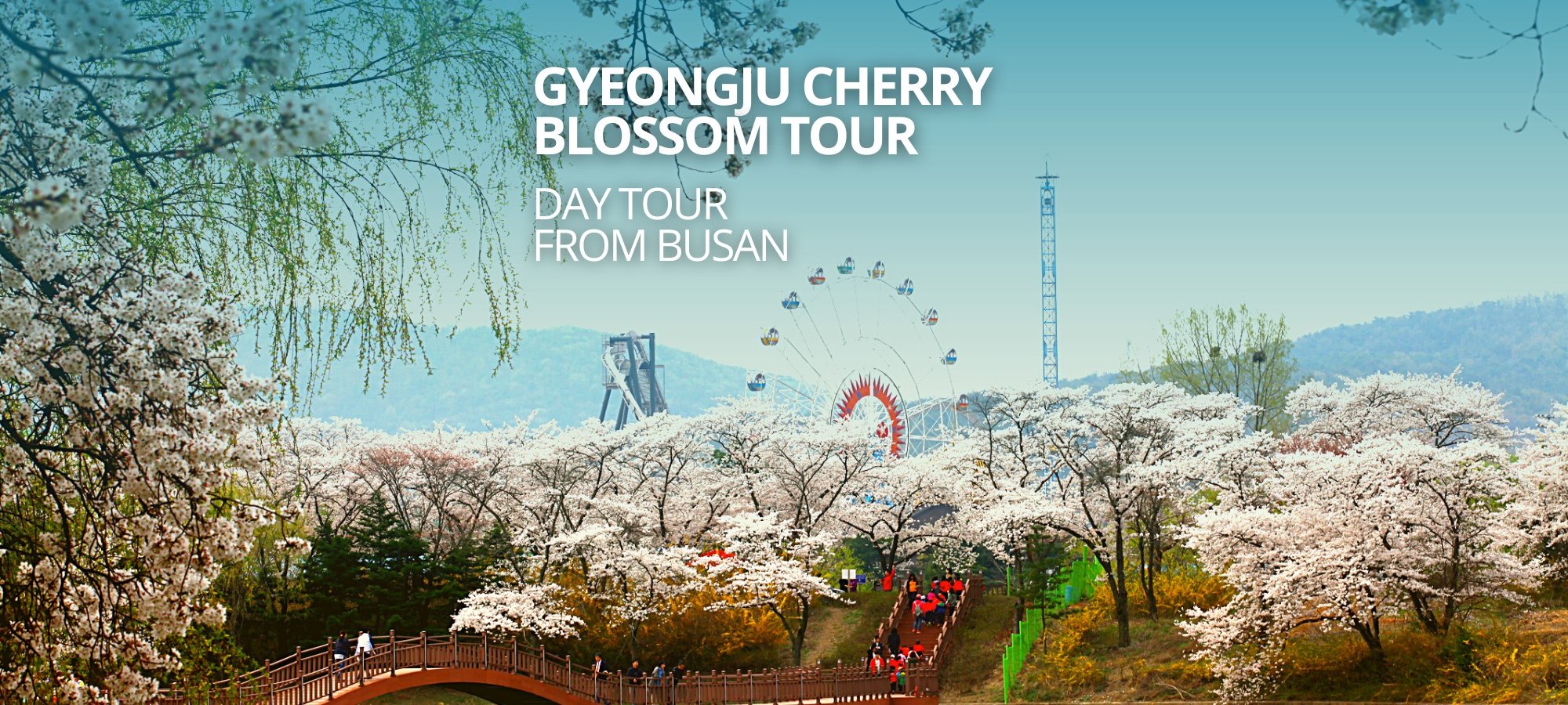 Gyeongju UNESCO World Heritage and Busan Sky Capsule Day Tour Blueline Park Sky Capsule gliding above Busan's dramatic coastline with ocean views