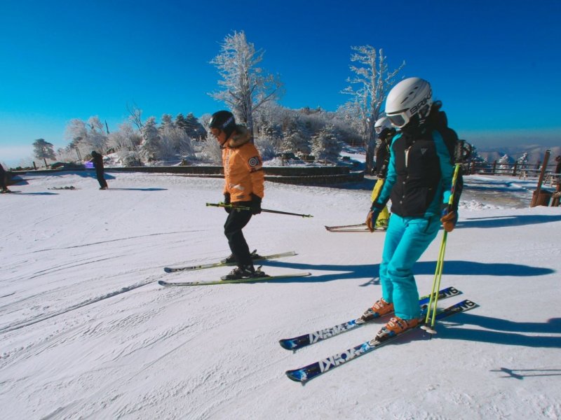Yongpyong Ski Resort Yongpyong Resort - Ski Tour Day Trip from Seoul