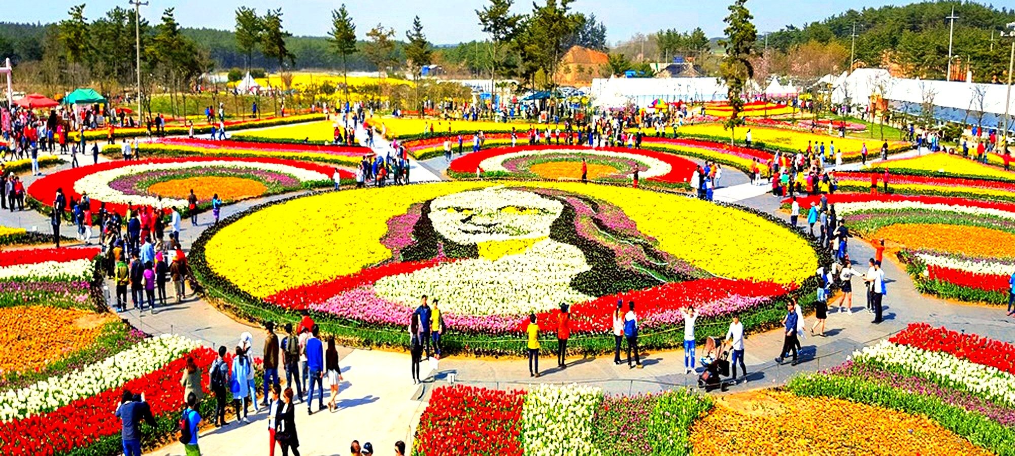 Quick facts and logistics Taean Tulip strawberry picking tour Seoul subway map showing pickup locations for Taean Tulip Festival day tour