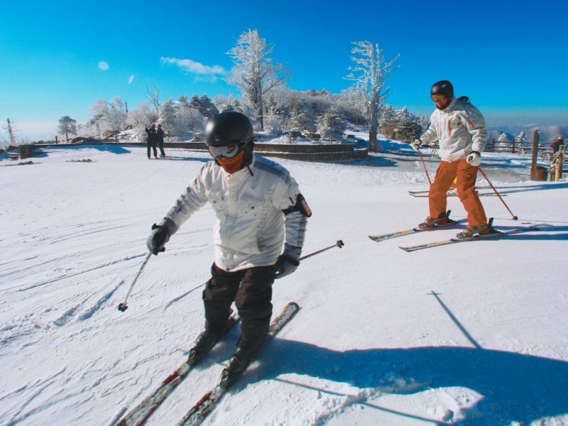 Yongpyong Ski Resort Yongpyong Resort - Ski Tour Day Trip from Seoul
