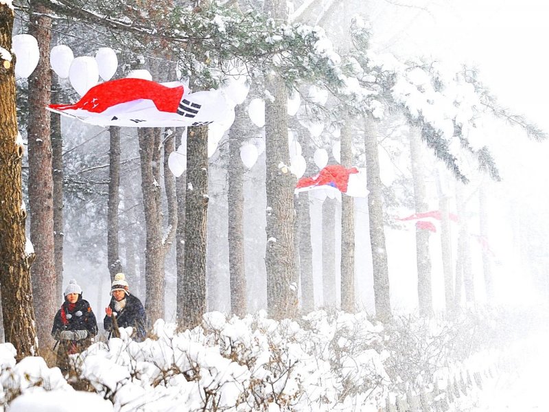 Nami Island Highlights Path of metasequoia trees on Nami Island in winter